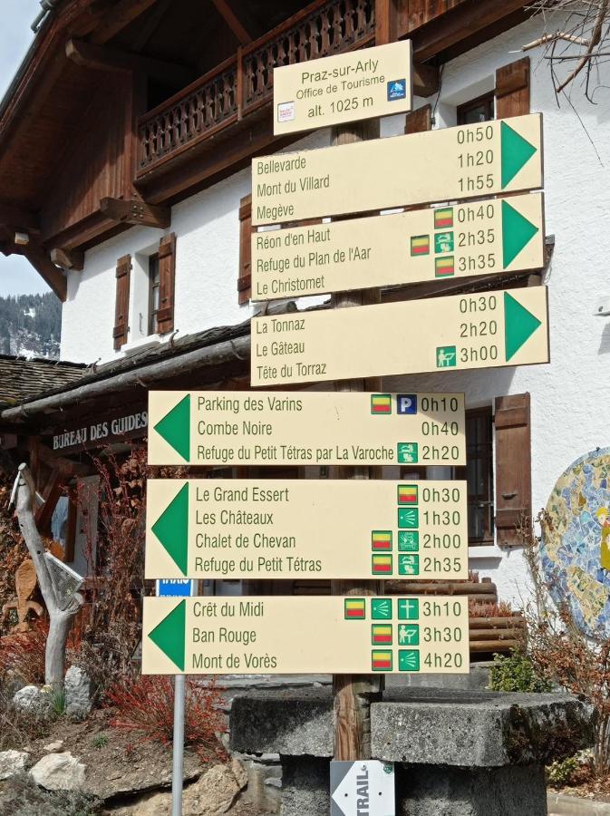 Apartament Studio Praz Sur Arly Zewnętrze zdjęcie